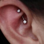 rook rook